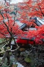 九游体育 首页入口-打开运动激情，九游体育首页入口，体验流畅体育盛况
