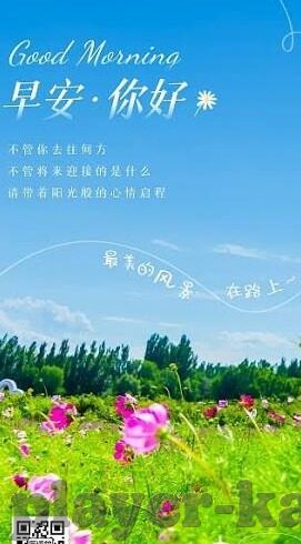 中体足球比分-中体足球比分，绿茵场上的数字交响曲